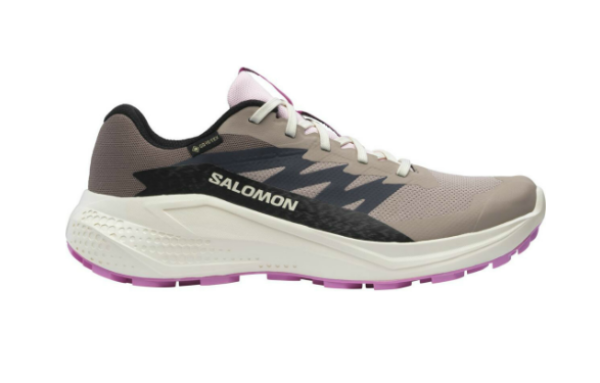 Bilde av Salomon Alphaglide Gtx W Multicolor